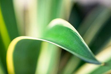 《原子陨落》的剧情DLC《邪恶之岛》公布总览宣传片